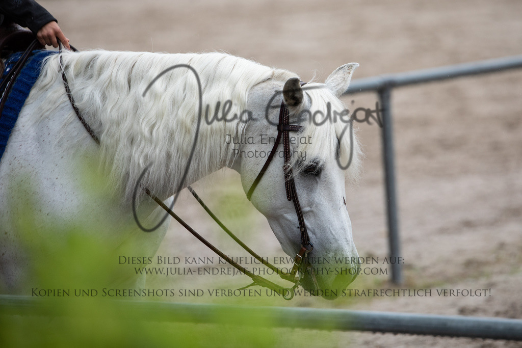 20220701-JuliaEndrejatPhotography-0138 | Julia Endrejat Photography