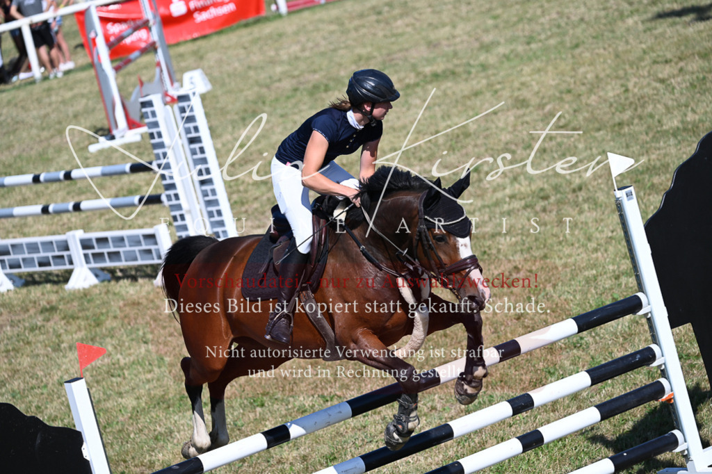 DSC_2025 | Pferde- und Turnierfotografie in Westsachsen. Pferdeportraits, Auftragszeichnungen und intuitive Kunst.