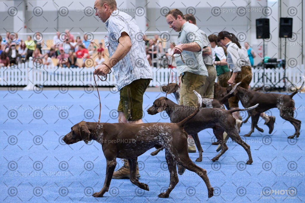 202406_ÖKV-IHA-Tulln24_DSC_3766 | proPHOTO - Realisiert mit Pictrs.com