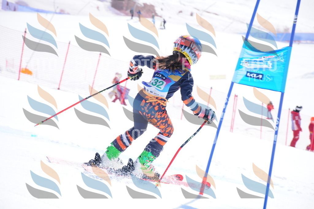 DSC_1109 | holidayphoto