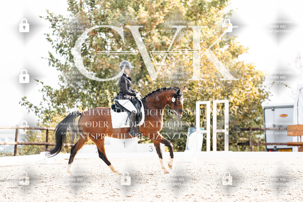 CK900926 | Turnierfotografie Pferdefotografie Trier Rheinland-Pfalz Pferdesport Reitsport Tierfotografie Sportfotografie Pferdevideo Pferdevideografie Equestrianvideography equestrianphotography  - Realisiert mit Pictrs.com