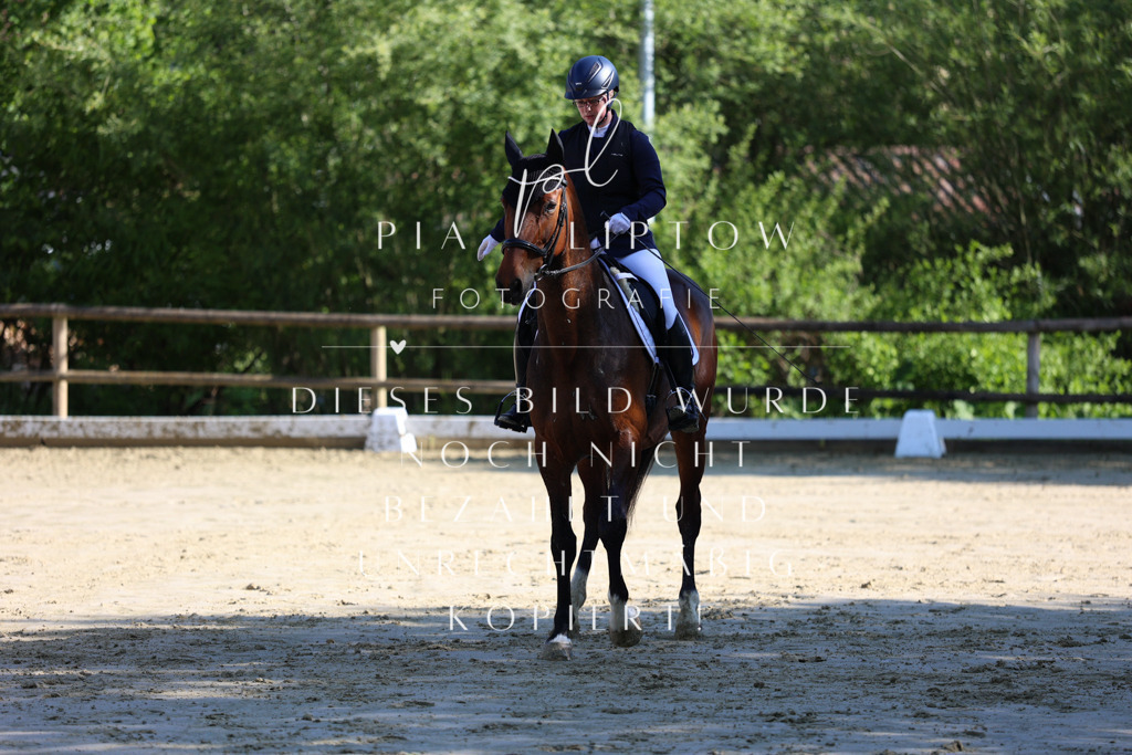 IMGT2843 | pl-fotografie