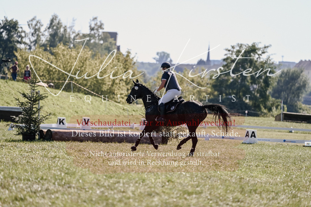 DSC_3351 | Pferde- und Turnierfotografie in Westsachsen. Pferdeportraits, Auftragszeichnungen und intuitive Kunst.