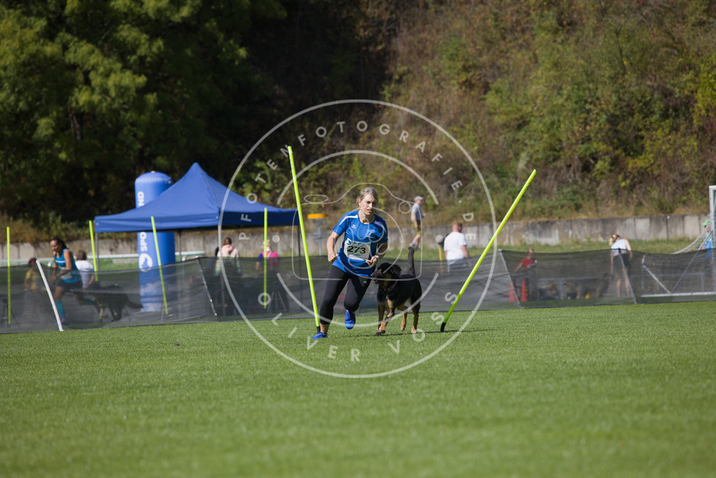 0L8A6703 | Hundefotografie, Tierfotograf, Pfotenfotografie, Fotoshooting Hund, Hunde Portrait, Hundesport, Hundeportraits, Heideshooting, Hunde, Sportfotograf, Hundefotograf, Turnierhundsport, THS,  - Realisiert mit Pictrs.com