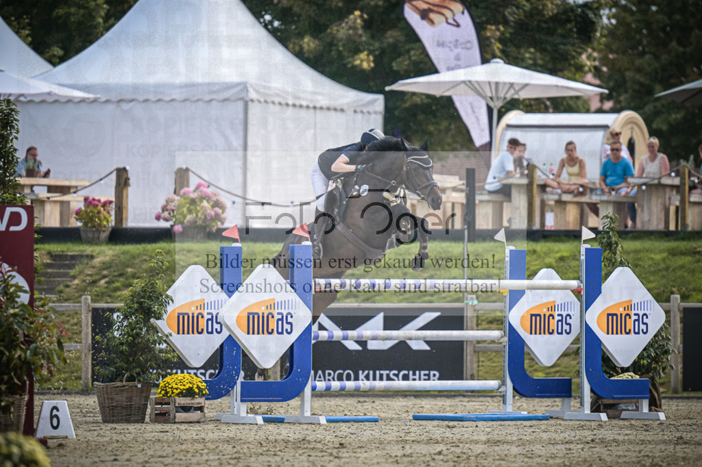 DOS_2069 | Entdecke hochwertige Reitturnierfotos von Foto Oger. Professionell, emotional und authentisch – jetzt Lieblingsmomente im Shop bestellen.Deutschlandweite Turnierfotografie. - Realisiert mit Pictrs.com