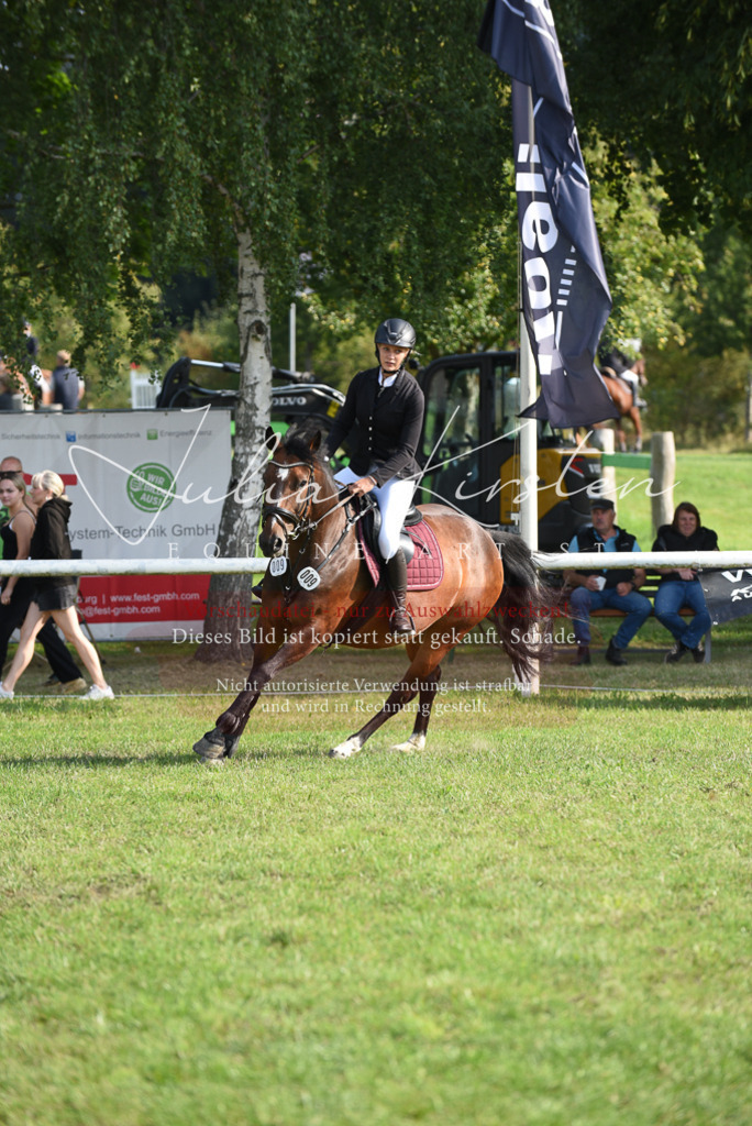 DSC_8686 | Pferde- und Turnierfotografie in Westsachsen. Pferdeportraits, Auftragszeichnungen und intuitive Kunst.