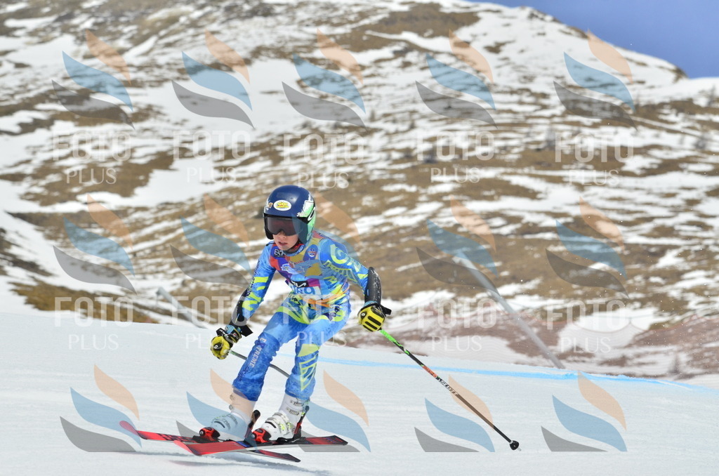 _ELE3002 | holidayphoto