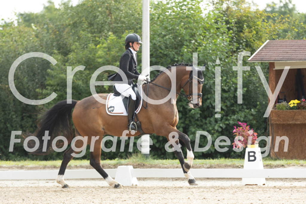 IMG_4097 | Creatify Fotografie