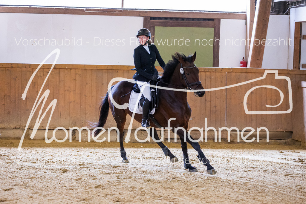 Sth-E-Springen-044 | MomenTaufnahmen Pferdesportfotos