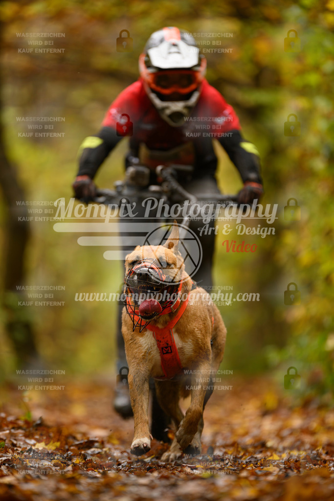 MompixPhotography_CD7S_DI_Bike-51 | mompixphotography