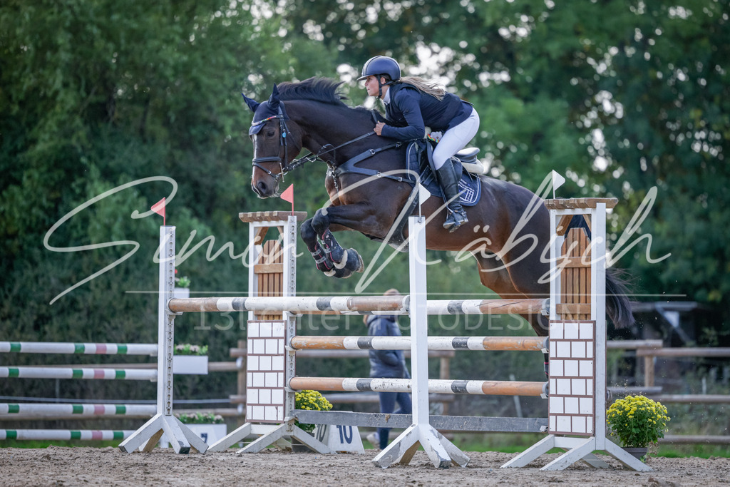 20251012-_3LI5666 | Tierfotografie Pferde, Hunde, Katzen, Haustiere.
Turnierfotografie Reitturniere, Reiten, Springreiten, Dressur in Hanau, dem Main-Kinzig-Kreis und dem Rhein-Main- Gebiet um Frankfurt