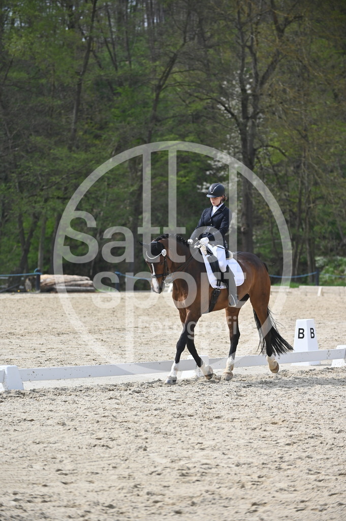 DSC_4177 | sattelsport - Realisiert mit Pictrs.com