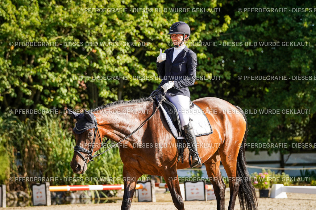 DSC08992 | Pferdegrafie