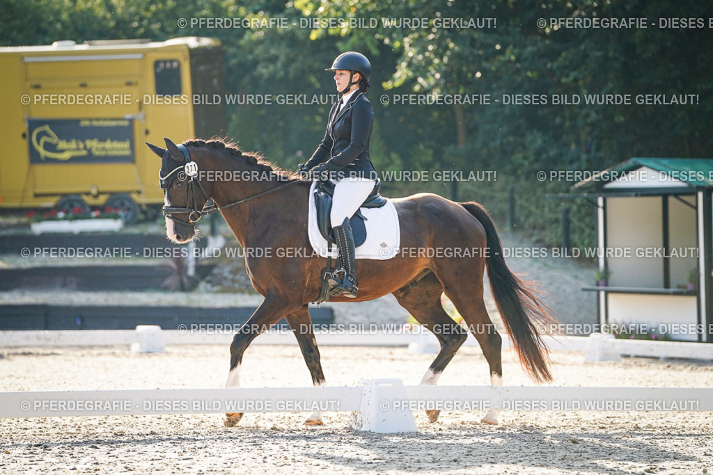 DSC07808 | Pferdegrafie