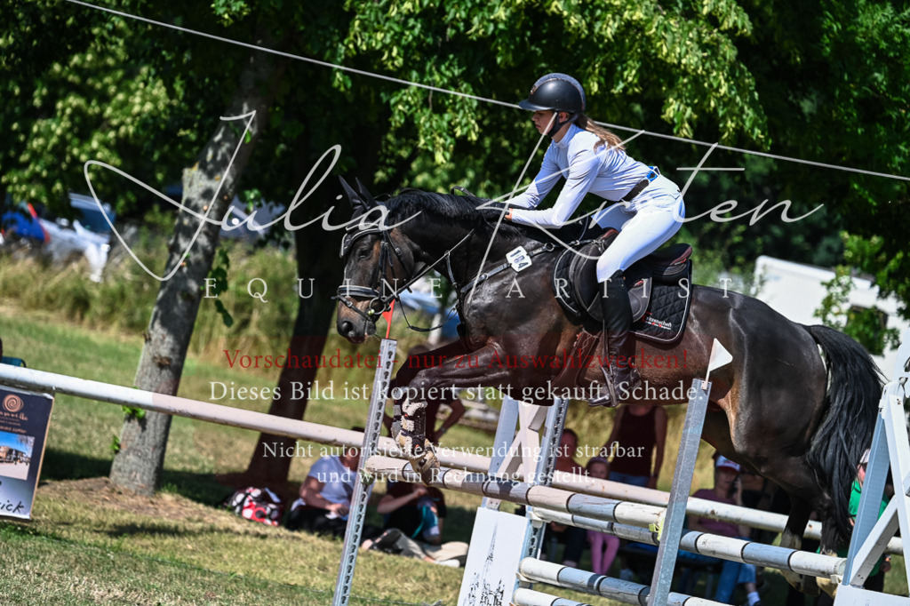 DSC_1556 | Pferde- und Turnierfotografie in Westsachsen. Pferdeportraits, Auftragszeichnungen und intuitive Kunst.