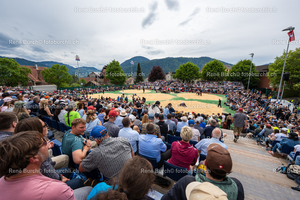RB_09724 | René Burch leidenschaftlicher Fotograf aus Kerns in Obwalden.  Hier finden sie Sport, Landschaft und Natur Fotografie.
 - Realisiert mit Pictrs.com