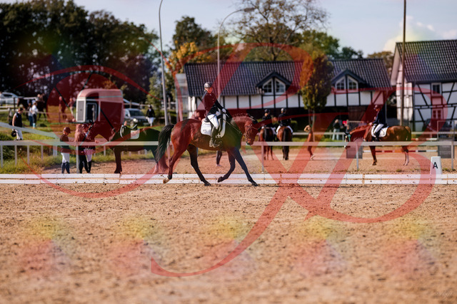 2026_10_03_Siefer-Hof_133902_Z81_98291970 | Professionelle Reitsport-, Turnier- und Eventfotografie von Robert Broda. Galerien mit ausgewählten und bearbeiteten Bildern direkt online ansehen und bestellen.