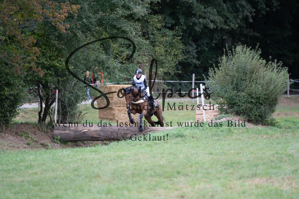 A7V00670 | Pferdefotograf