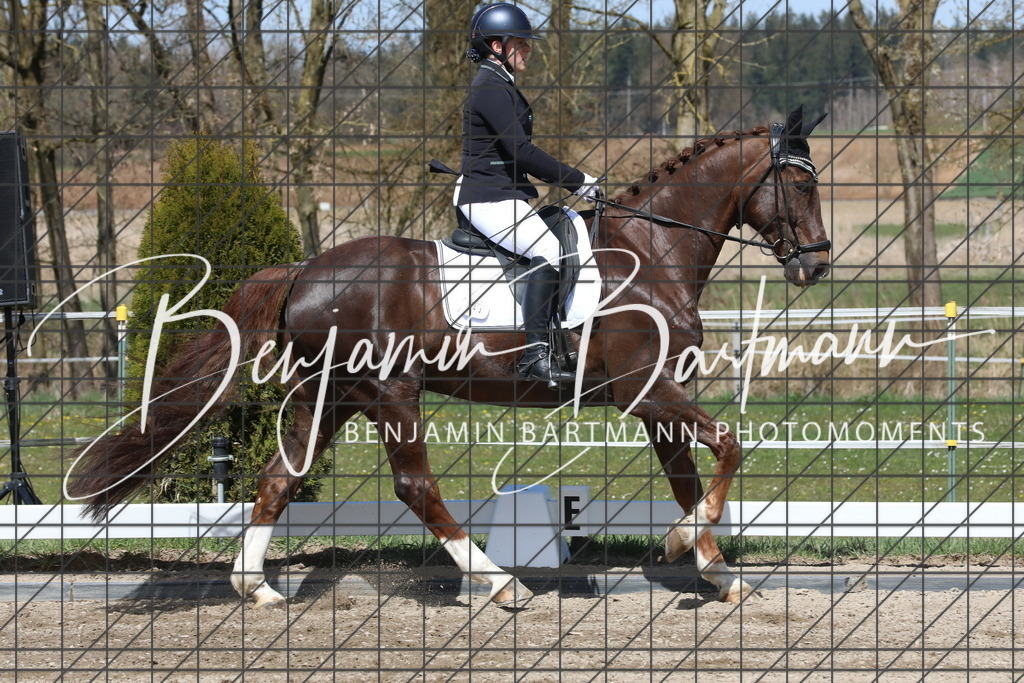 AZ2A4034 | Benjamin Bartmann Photomoments