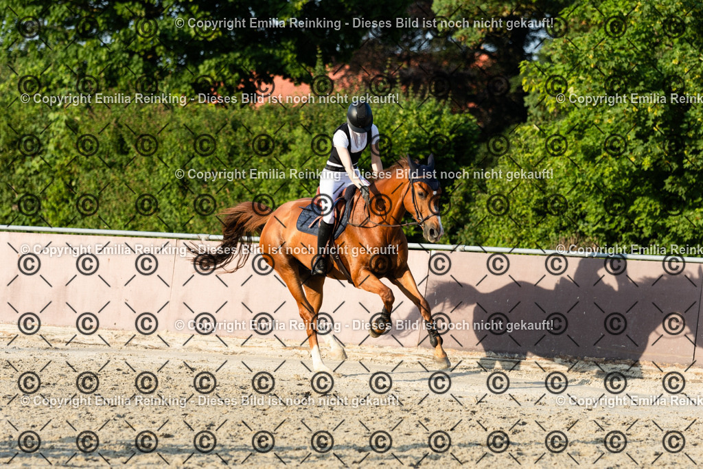 CL5A1595 | Emilia Reinking Fotografie - Realisiert mit Pictrs.com