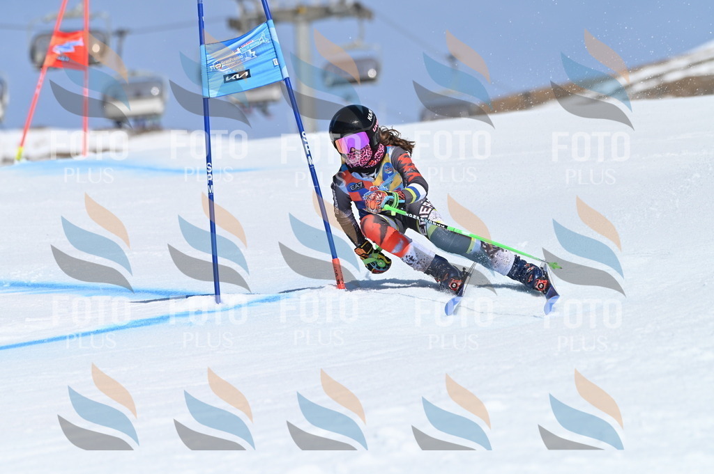 BGV_9682 | holidayphoto