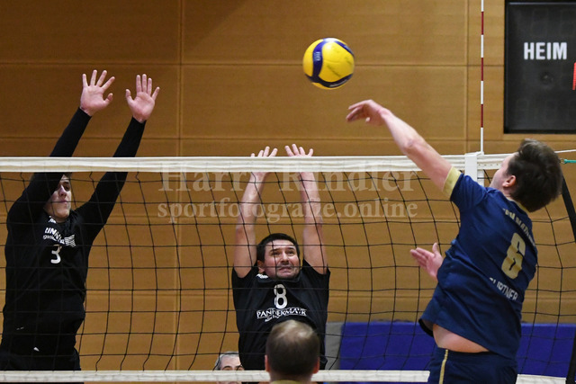 TSV Plattling Volleyball - Isarvolleys | TSV Plattling Volleyball - Isarvolleys - Realisiert mit Pictrs.com