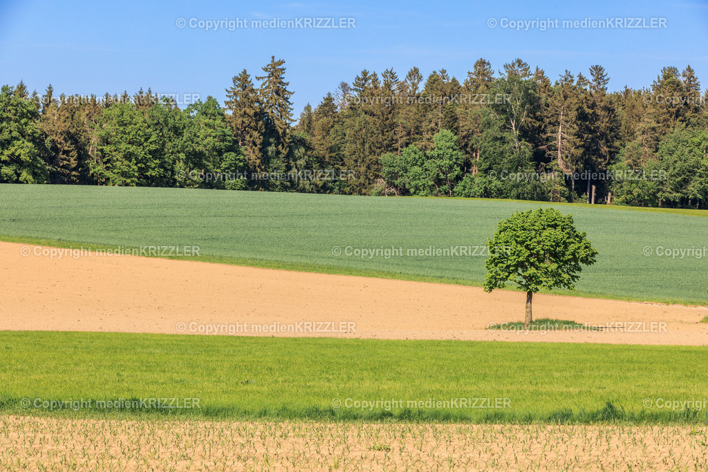 _J3A7847 | medienkrizzler - Realisiert mit Pictrs.com