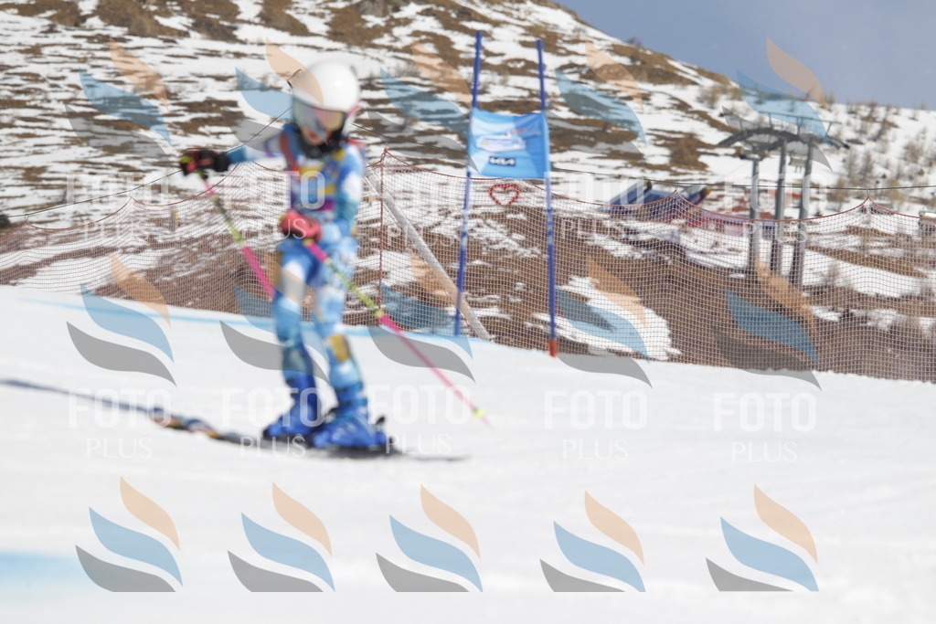 _U3G0559 | holidayphoto