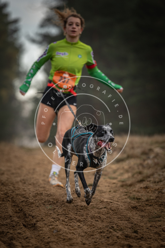 Pfotenfotografie_DV3A5603 | Hundefotografie, Tierfotograf, Pfotenfotografie, Fotoshooting Hund, Hunde Portrait, Hundesport, Hundeportraits, Heideshooting, Hunde, Sportfotograf, Hundefotograf, Turnierhundsport, THS,  - Realisiert mit Pictrs.com