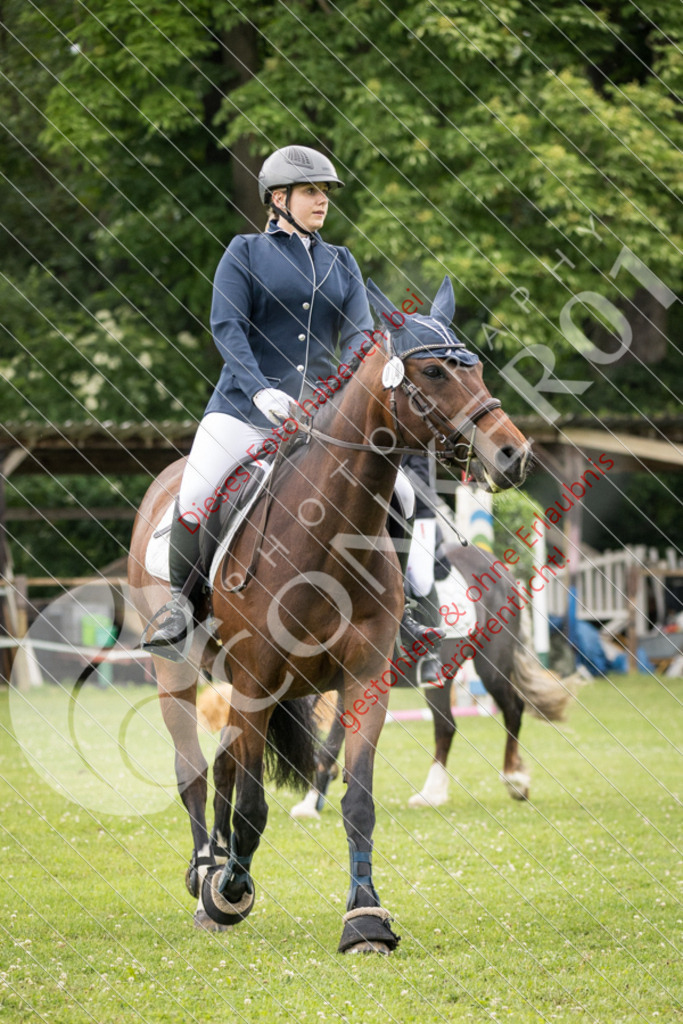 IMG_2473 | Sport-, Event- und Tierfotos in Profiqualität. Einfach auswählen, bestellen und herunterladen. Dein Moment – perfekt festgehalten.