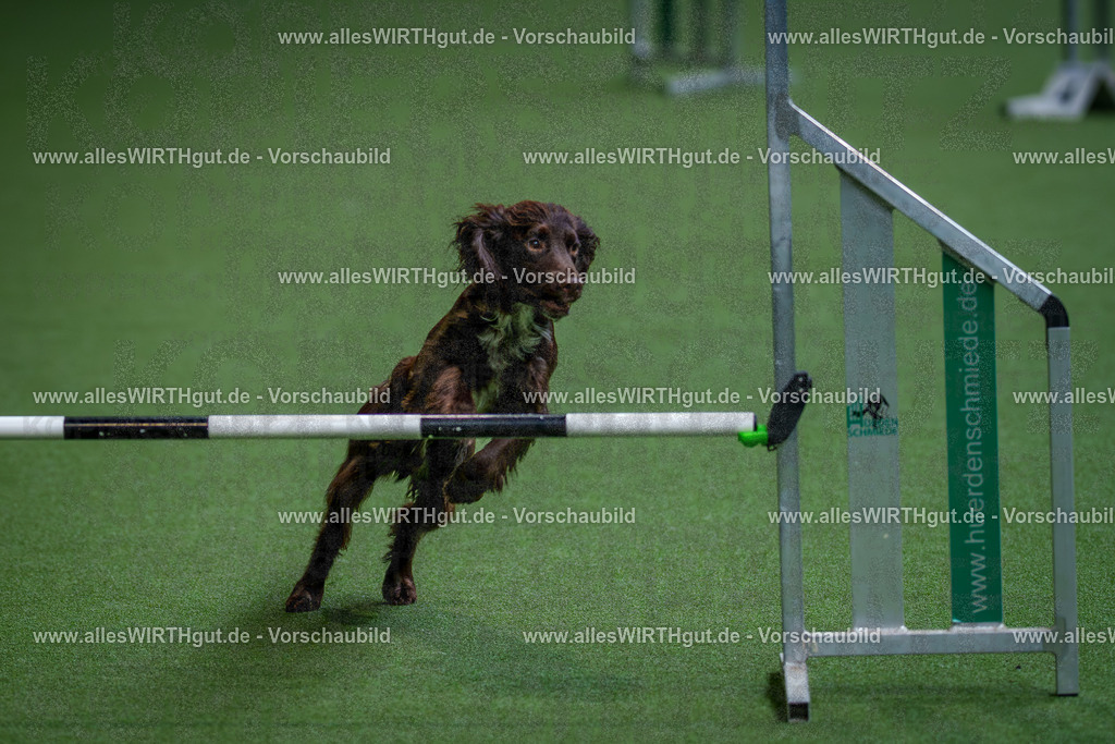 @allesWIRTHgut_Tierfotografie - www.allesWIRTHgut.de - 2604260827-7R506928 | Professionelle Tierfotografie in Mönchengladbach von Daniel Wirth (allesWIRTHgut). Liebevolle & natürliche Bilder von Hunden & Katzen für unvergessliche Erinnerungen.