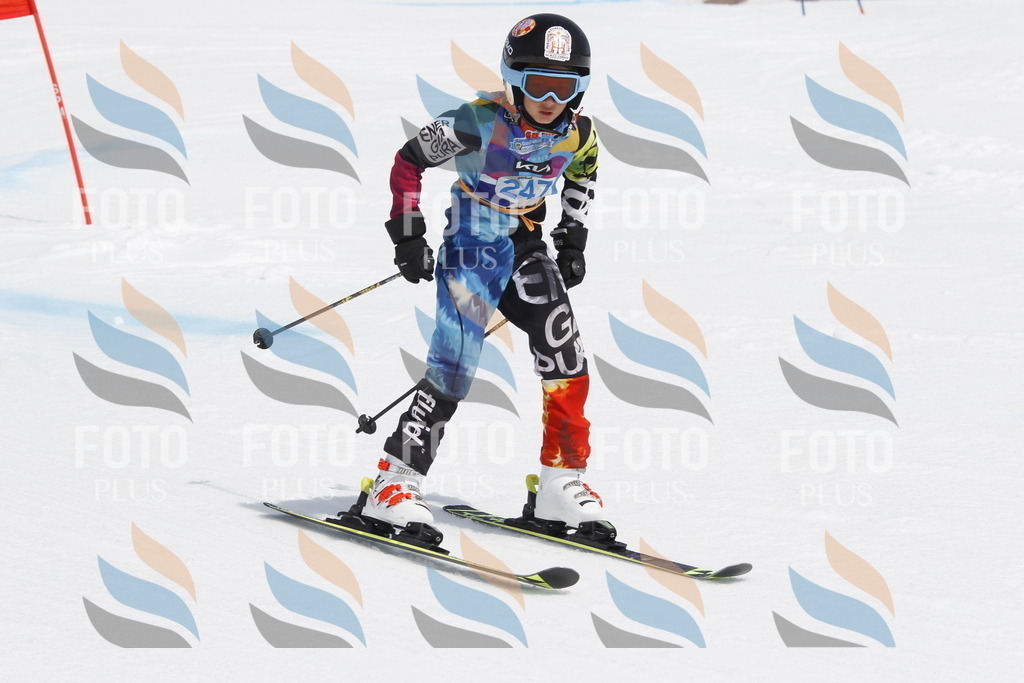 _U3G2844 | holidayphoto