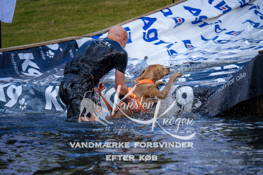 _ZZ947501002 | kk-dogfotos