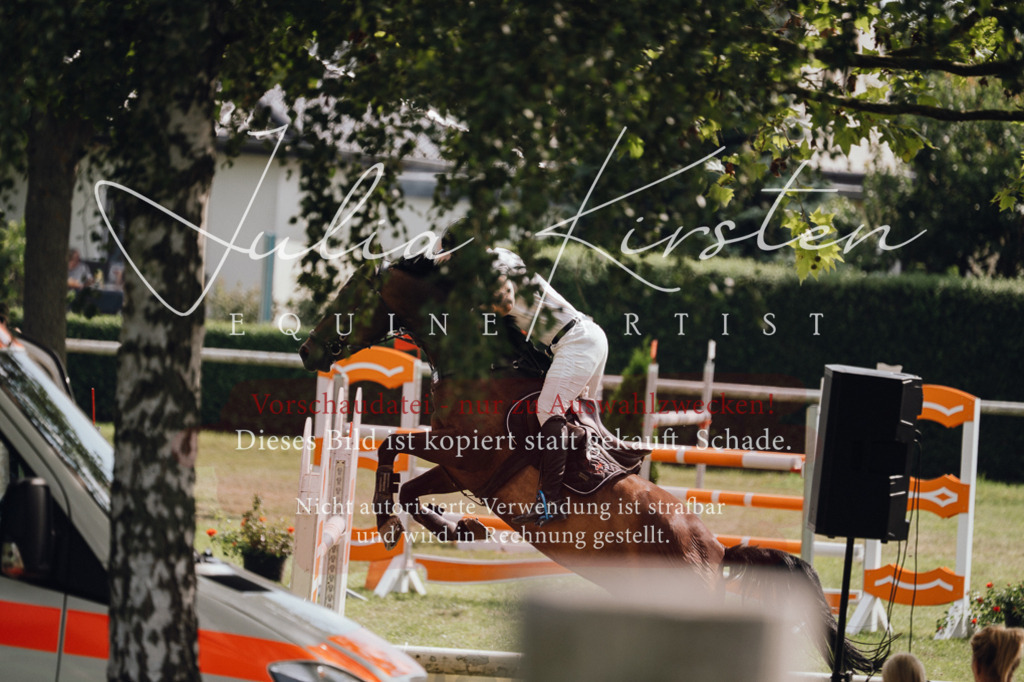 DSC_0983 | Pferde- und Turnierfotografie in Westsachsen. Pferdeportraits, Auftragszeichnungen und intuitive Kunst.
