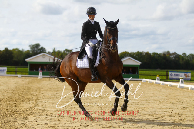 DKP45542 | Turniersportfotografie; Pferdefotografie; Dressurfotografie