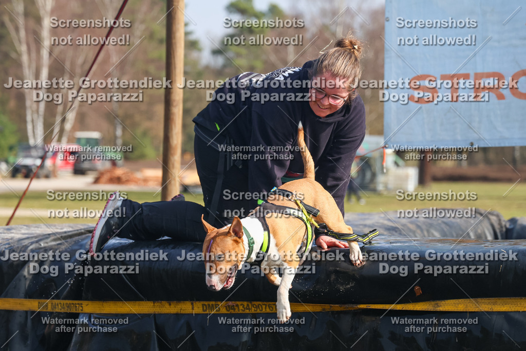 Dog Paparazzi - Strongdog North Mrz26-1972 | Dog Paparazzi Jeanette Grottendiek Fotografie & Videografie - Realisiert mit Pictrs.com