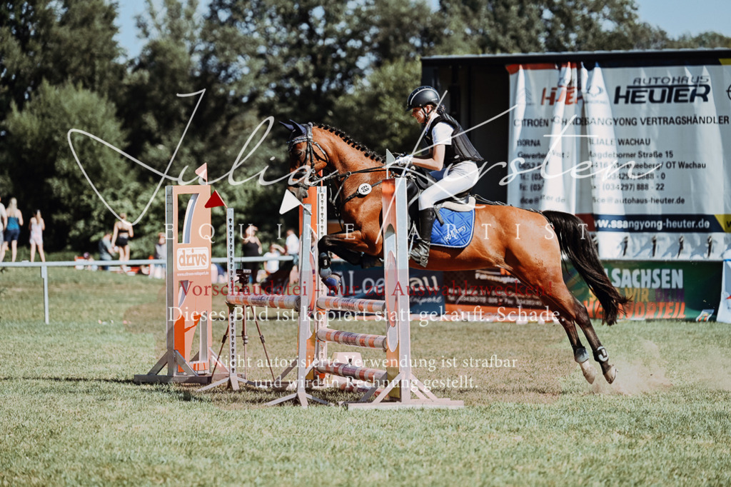 DSC_6924 | Pferde- und Turnierfotografie in Westsachsen. Pferdeportraits, Auftragszeichnungen und intuitive Kunst.