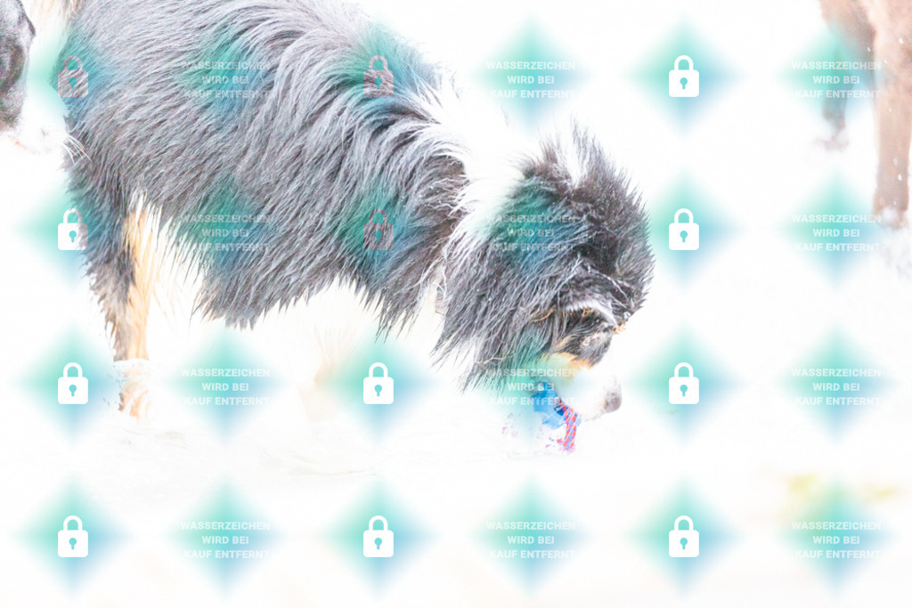 _HP_7404_1000o | HetPix, HetPix Fotodesign, Fotografie, Fotodesign, Webshop, Sportfotografie, Portraitfotografie, Onlineshop, Sportfotografie, Polch, Motorsportfotografie, Eventfotografie