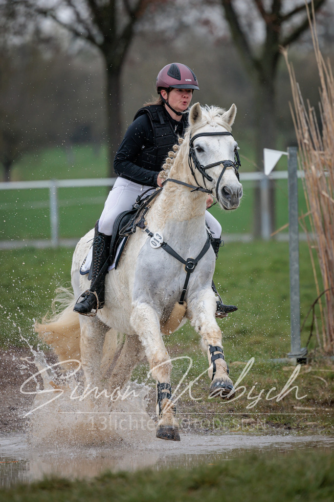 20260329-_3LI4067 | Tierfotografie Pferde, Hunde, Katzen, Haustiere.
Turnierfotografie Reitturniere, Reiten, Springreiten, Dressur in Hanau, dem Main-Kinzig-Kreis und dem Rhein-Main- Gebiet um Frankfurt