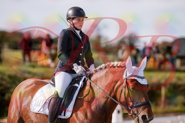 2026_10_03_Siefer-Hof_114022_Z81_82760418 | Professionelle Reitsport-, Turnier- und Eventfotografie von Robert Broda. Galerien mit ausgewählten und bearbeiteten Bildern direkt online ansehen und bestellen.