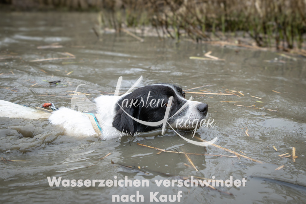 1410_ZZ97092 | kk-dogfotos