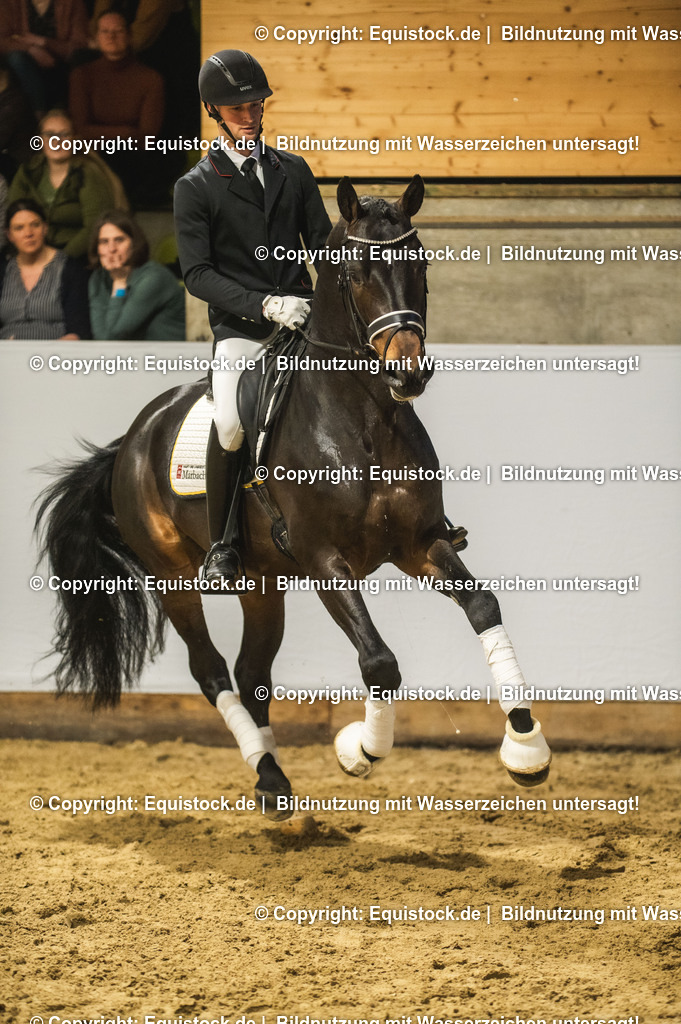 20240302_Hengstvorstellung_Marbach_TOMsPiC_0401 | equistock