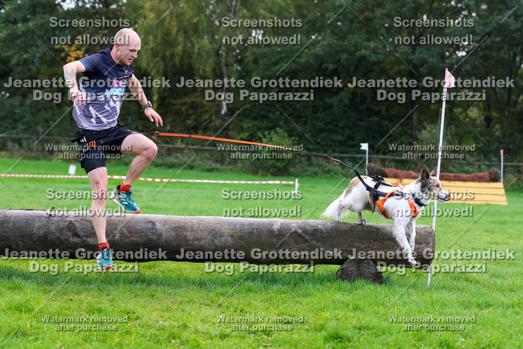 Dog Paparazzi -  SD1026-930 | Dog Paparazzi Jeanette Grottendiek Fotografie & Videografie - Realisiert mit Pictrs.com