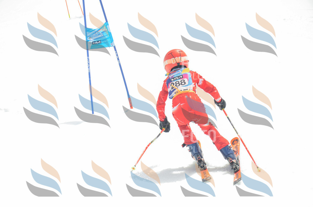 _ELE8061 | holidayphoto