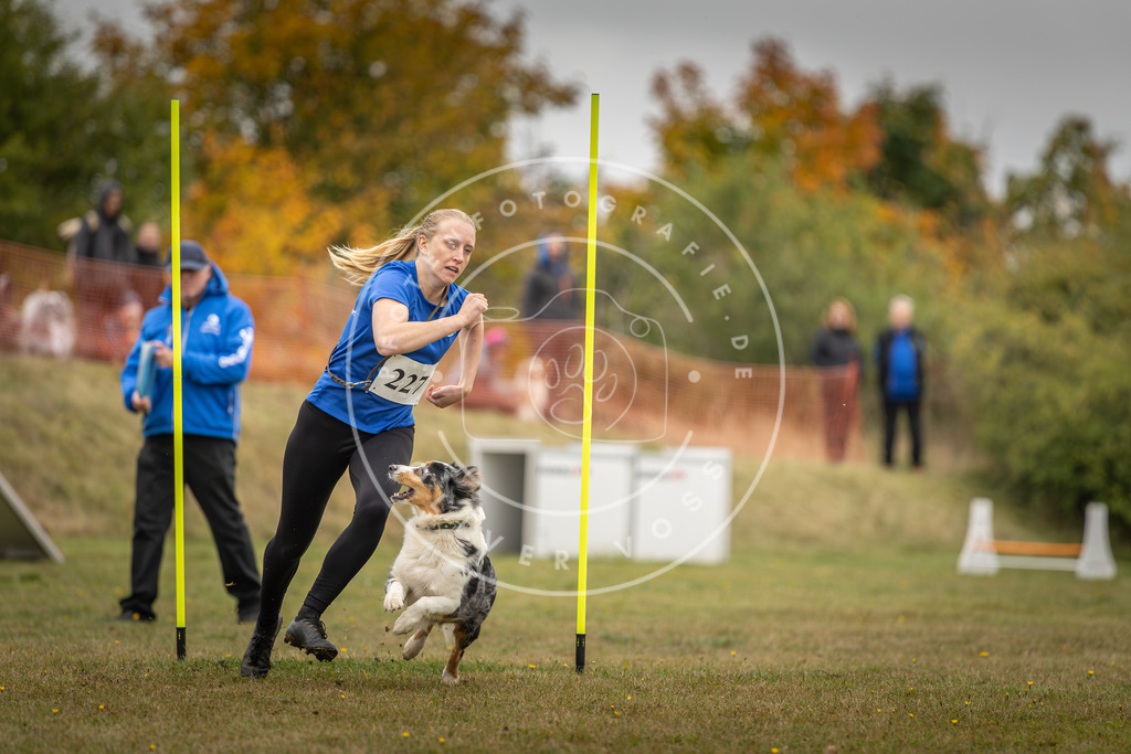 Pfotenfotografie_DV3A4028 | Hundefotografie, Tierfotograf, Pfotenfotografie, Fotoshooting Hund, Hunde Portrait, Hundesport, Hundeportraits, Heideshooting, Hunde, Sportfotograf, Hundefotograf, Turnierhundsport, THS,  - Realisiert mit Pictrs.com