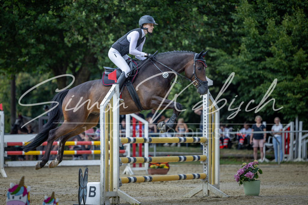 20260704-_3LI1331 | Tierfotografie Pferde, Hunde, Katzen, Haustiere.
Turnierfotografie Reitturniere, Reiten, Springreiten, Dressur in Hanau, dem Main-Kinzig-Kreis und dem Rhein-Main- Gebiet um Frankfurt