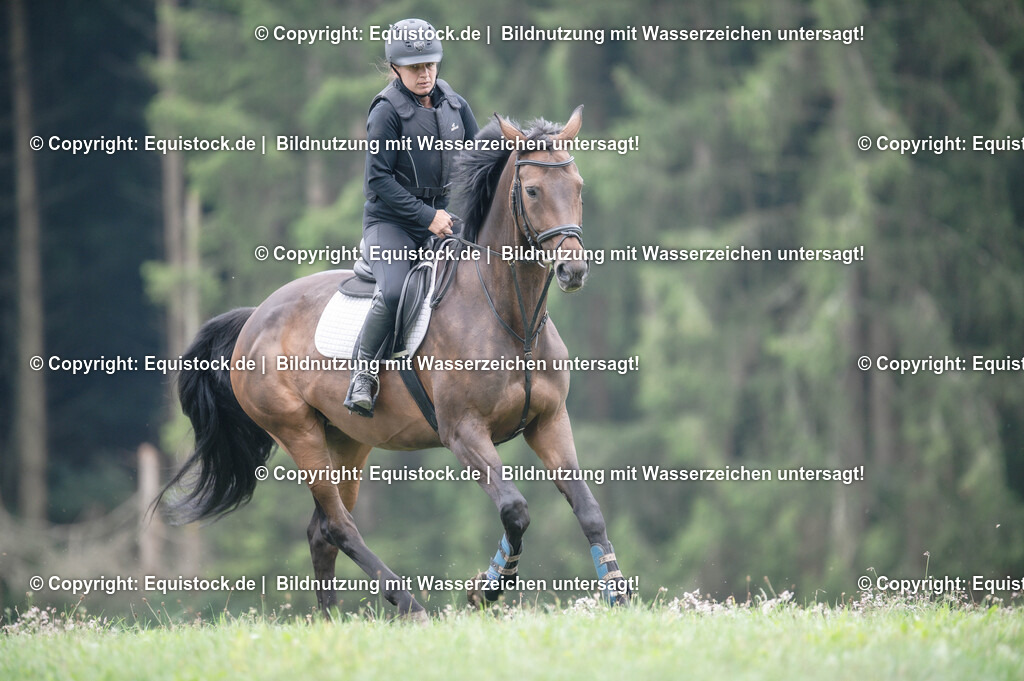 20250726_Vielseitigkeitslehrgang-Marbach_0357 | Foto: Thomas Hartig