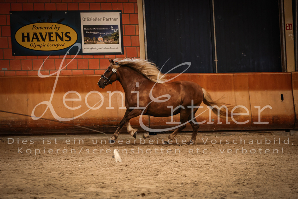 SaFL00438 | Leoni Ertmer Photography - Realisiert mit Pictrs.com