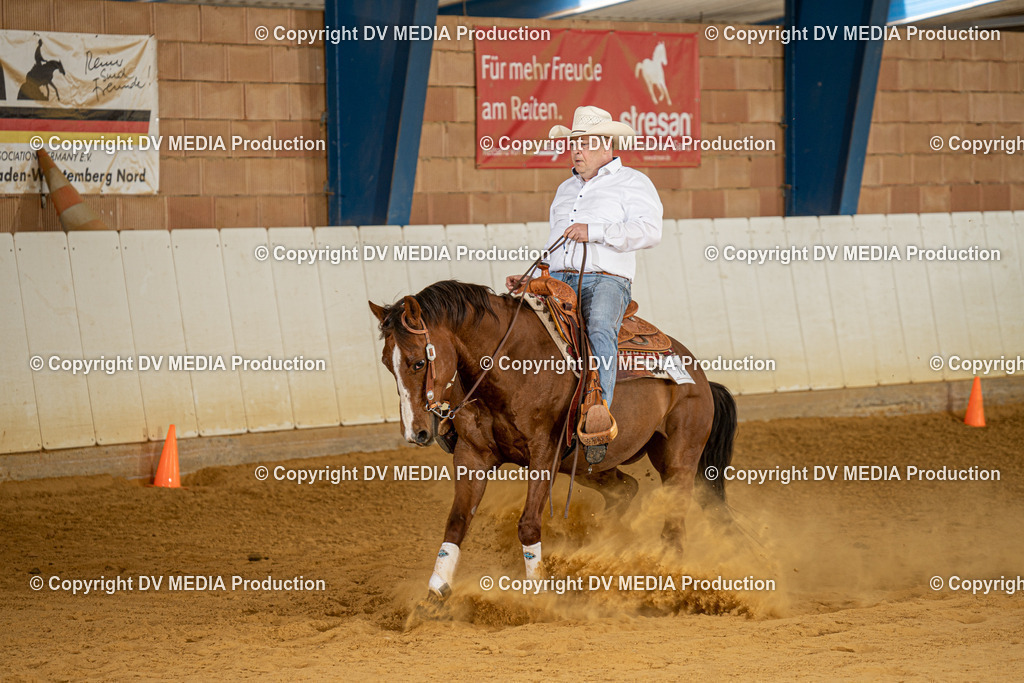 MIT00118 | dv-media-shop - Realisiert mit Pictrs.com