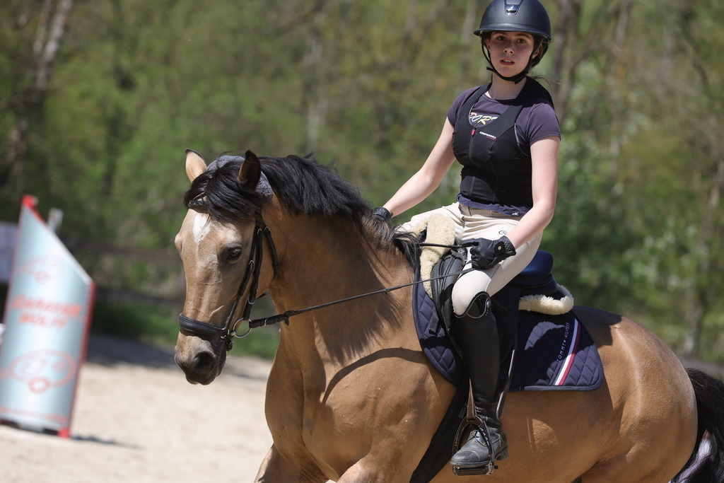 0P6A8824 | Willkommen bei Brunnmayr - Design & Fotografie – Ihrem Spezialisten für Reitturniere und Pferdeveranstaltungen in Oberösterreich, Salzburg und Bayern! Seit über 17 Jahren sind wir leidenschaftlich dabei.